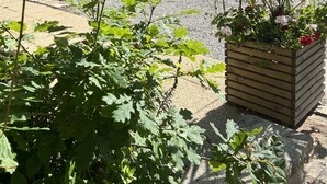 Un bâtiment en pierre avec une cour recouverte de gravier, entouré de verdure et agrémenté d’un jardinière en bois remplie de fleurs.