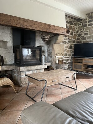 TV, fireplace, books