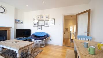 TV layar datar, Netflix, pemutar DVD, dan stasiun docking iPod