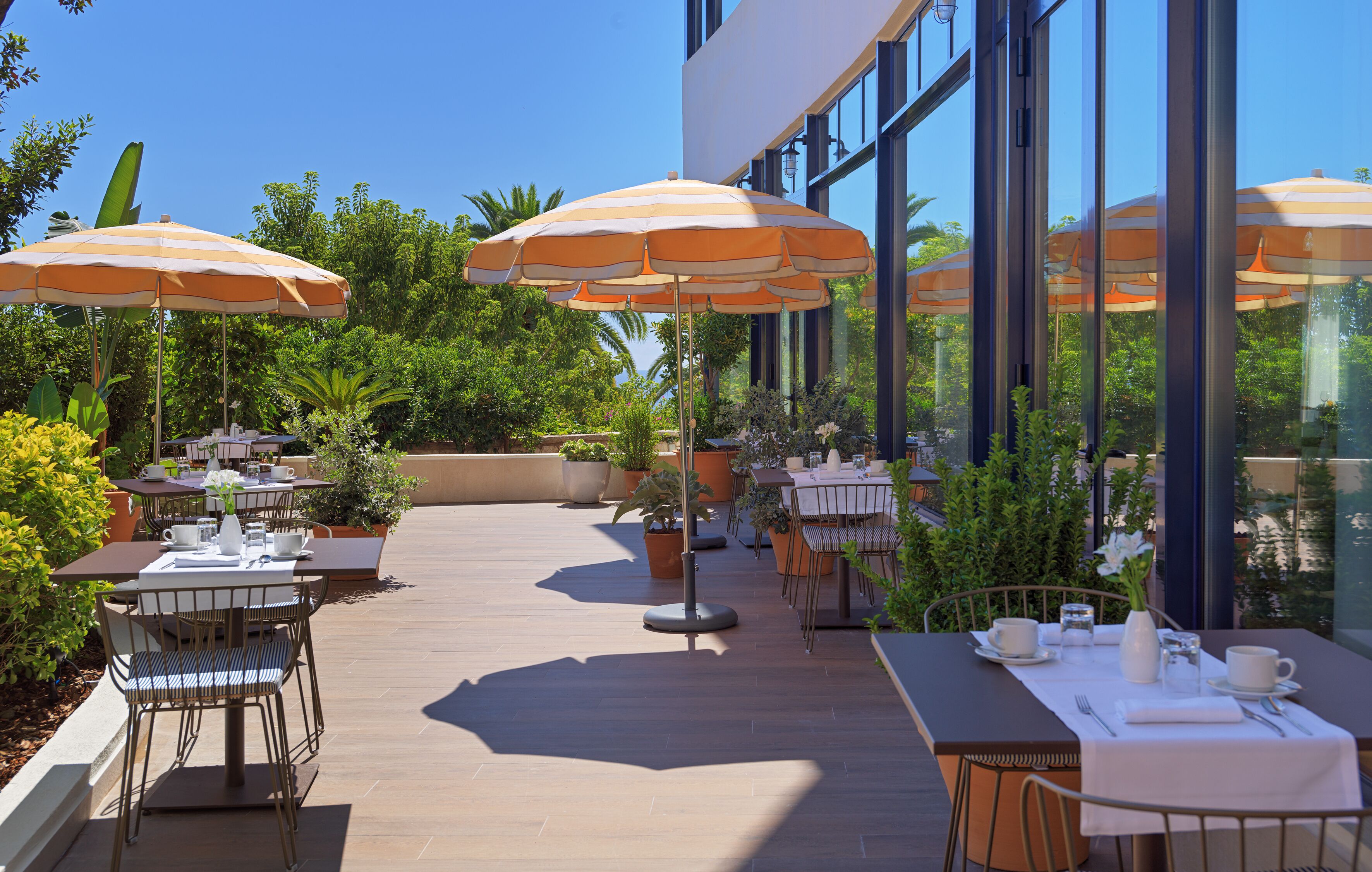 Un patio al aire libre con mesas y sillas, grandes sombrillas y plantas en macetas.