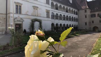 Detalle del exterior