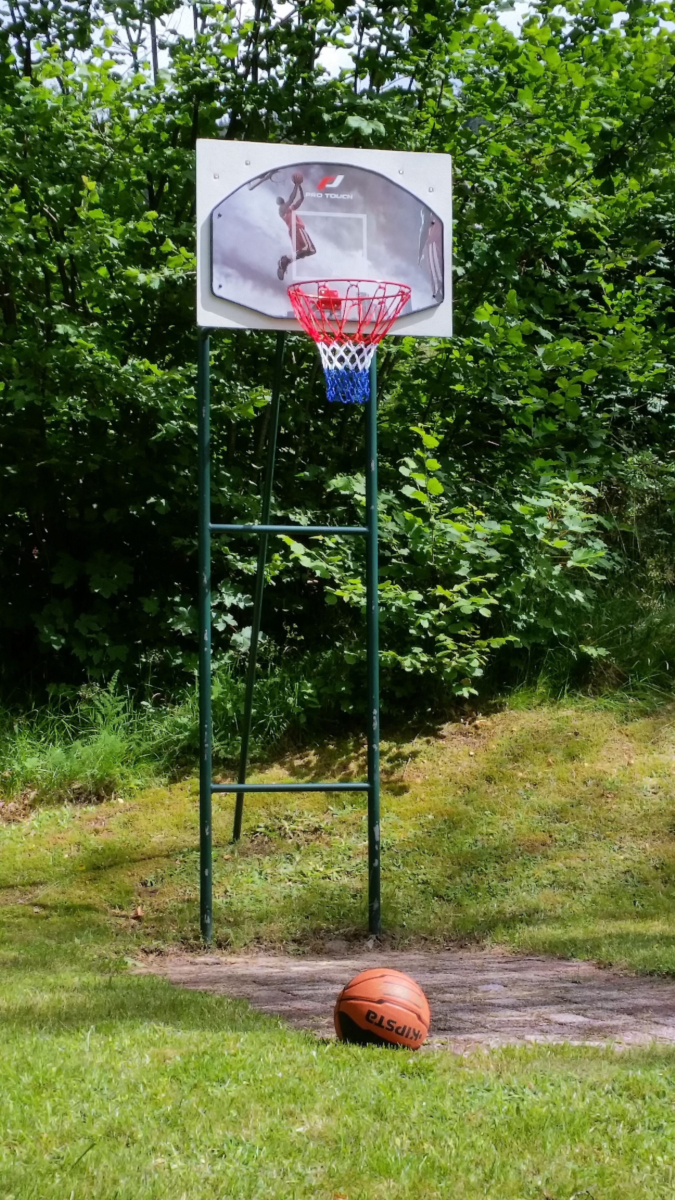 A basketball hoop with a sign, surrounded by greenery.