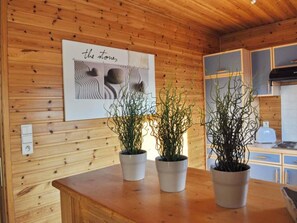 A wooden interior with a kitchen area, wooden panel walls, and three potted plants on a wooden counter.