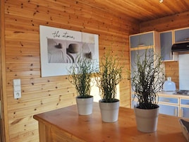 Un interior de madera con una zona de cocina, paneles de madera en las paredes y tres plantas en macetas sobre un mostrador de madera.