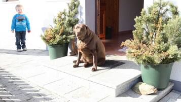 Apartment | Innendetails