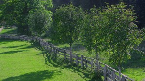 A fenced grassy area with trees and a wooden fence. - Lush Holiday Home in Hüttau near Ski Area (Huettau)