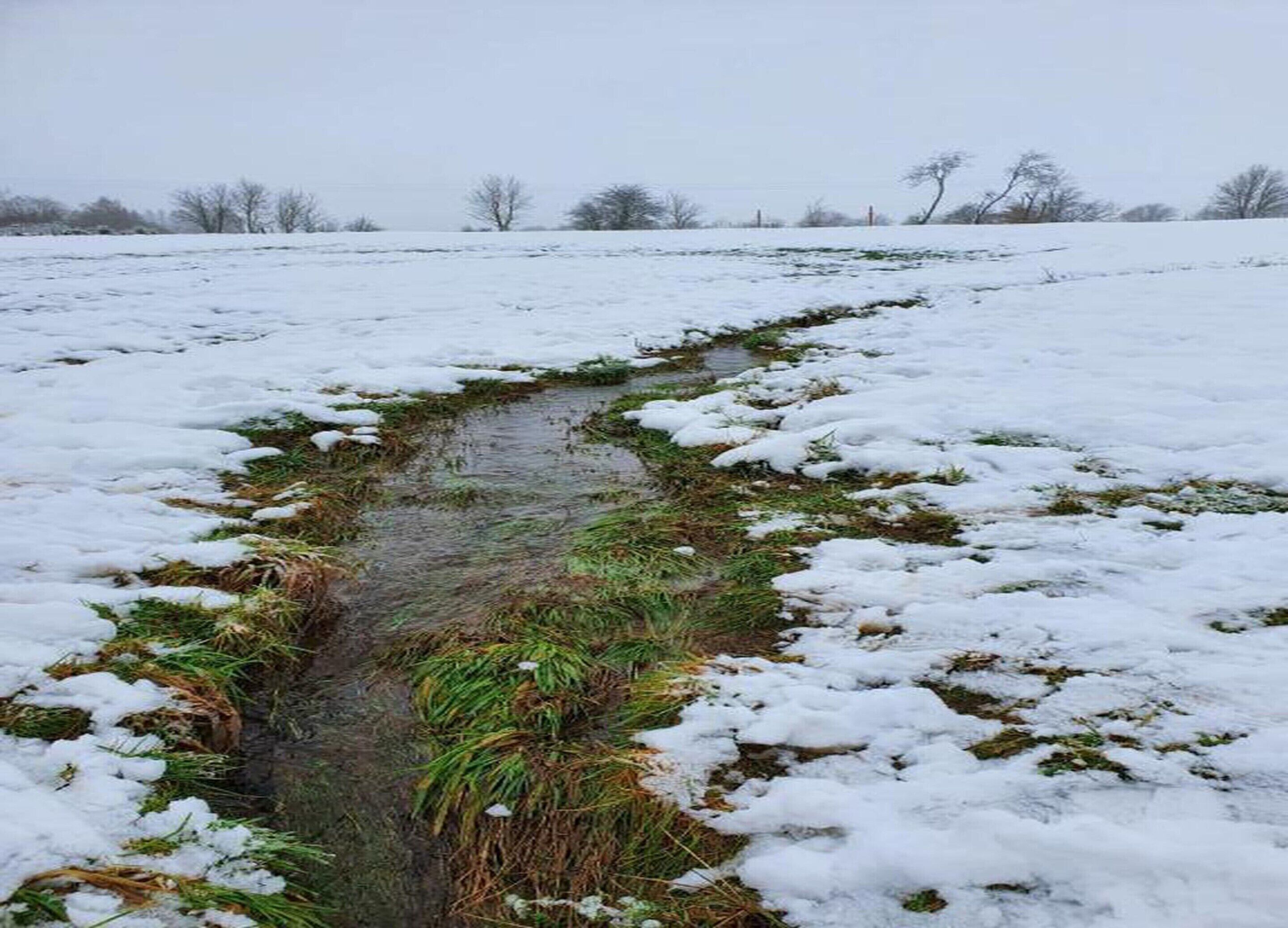 A snow-covered field with a narrow stream running through it.