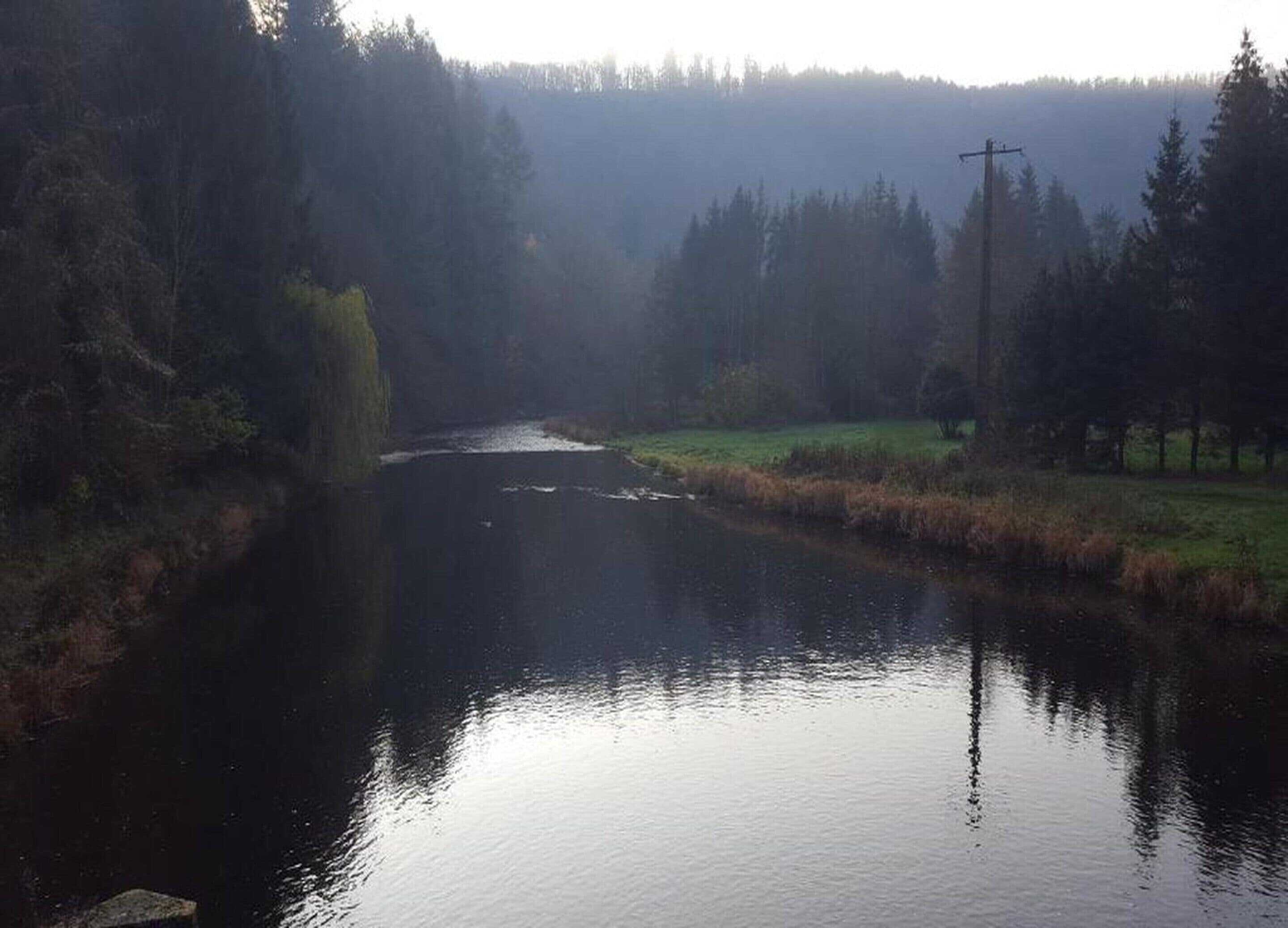 A calm river with dense forest on both sides.
