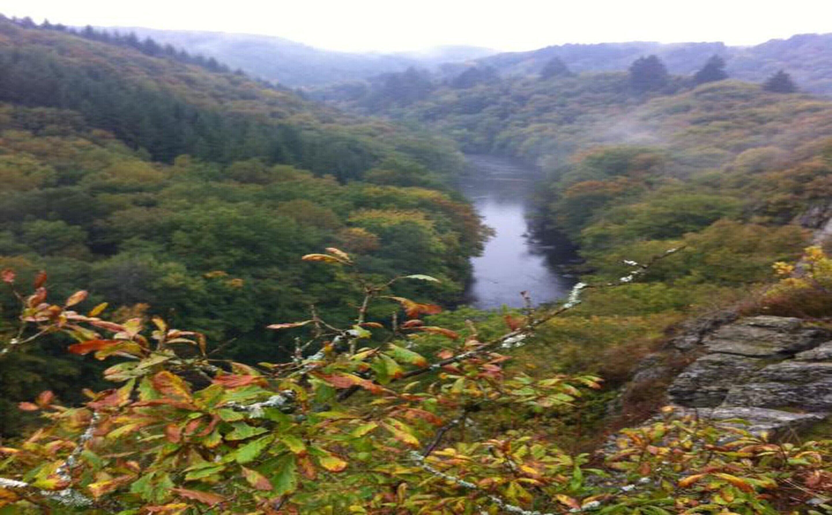 วิวจากที่พัก