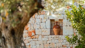 Exterior detail - Villa Milivita - Countryside Escape in Puglia with Private Pool and Olive Grove Views - in Monopoli (Monopoli)