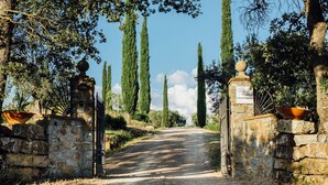 Une porte en pierre rustique mène à un sentier de gravier bordé de grands cyprès.