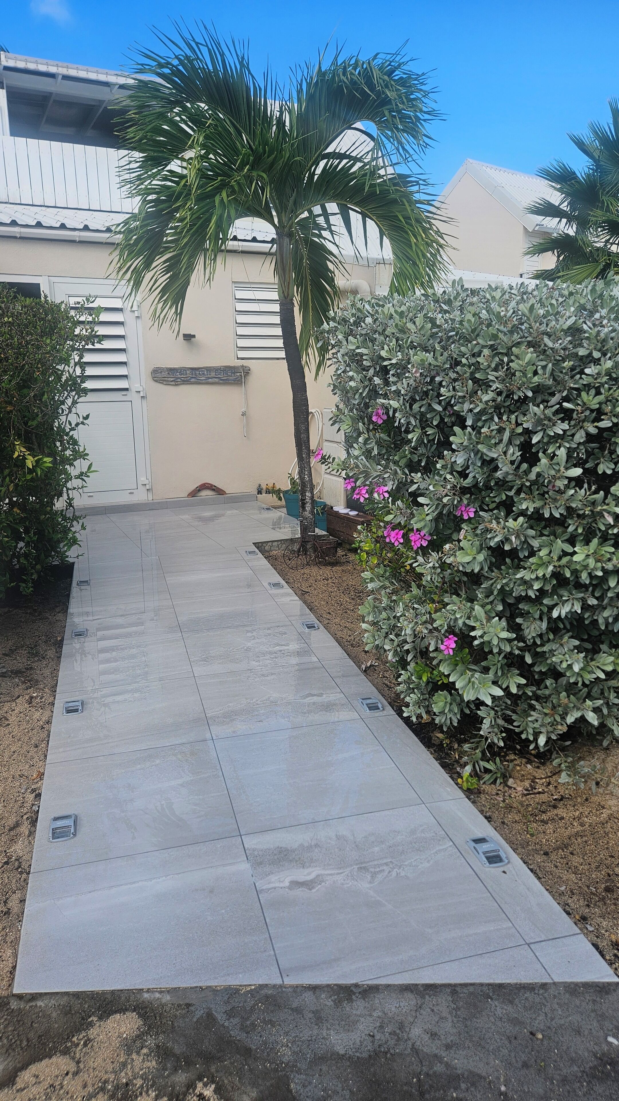 A paved pathway leading to a building with a beige facade and a garage door. There are palm trees and a bush with pink flowers along the path.