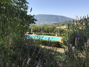 Outdoor pool - Residence Serena with a view of the Monte Subasio (San Presto)