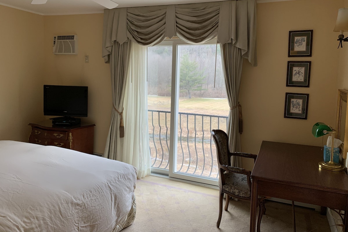 A hotel room with a bed, a desk, a chair, a television, and a balcony with a view of the outdoors.