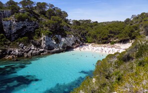Playa en los alrededores, camastros y toallas de playa 