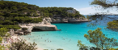 Plage à proximité, chaises longues, serviettes de plage