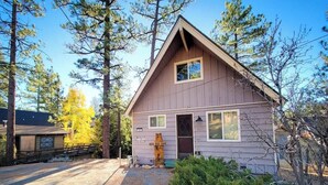 Une petite cabane à un seul étage, dotée d’un toit à pignon, d’une porte d’entrée et d’un petit porche.