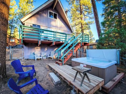 Dixie Bear Den • Spa • Fenced Yard