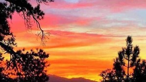 A sunset view with mountains in the background and trees in the foreground.