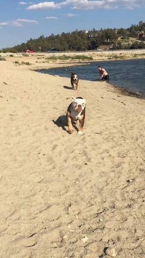 Playa