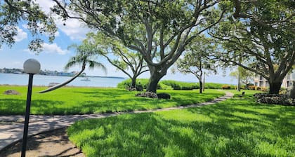 Palma D206 Isla Del Sol