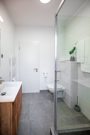 Combined shower/bathtub, hair dryer, towels, soap