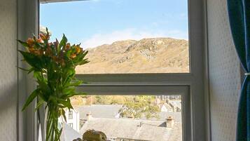 Room 9 - Double En-suite Hillview Room | Individually decorated, individually furnished, laptop workspace