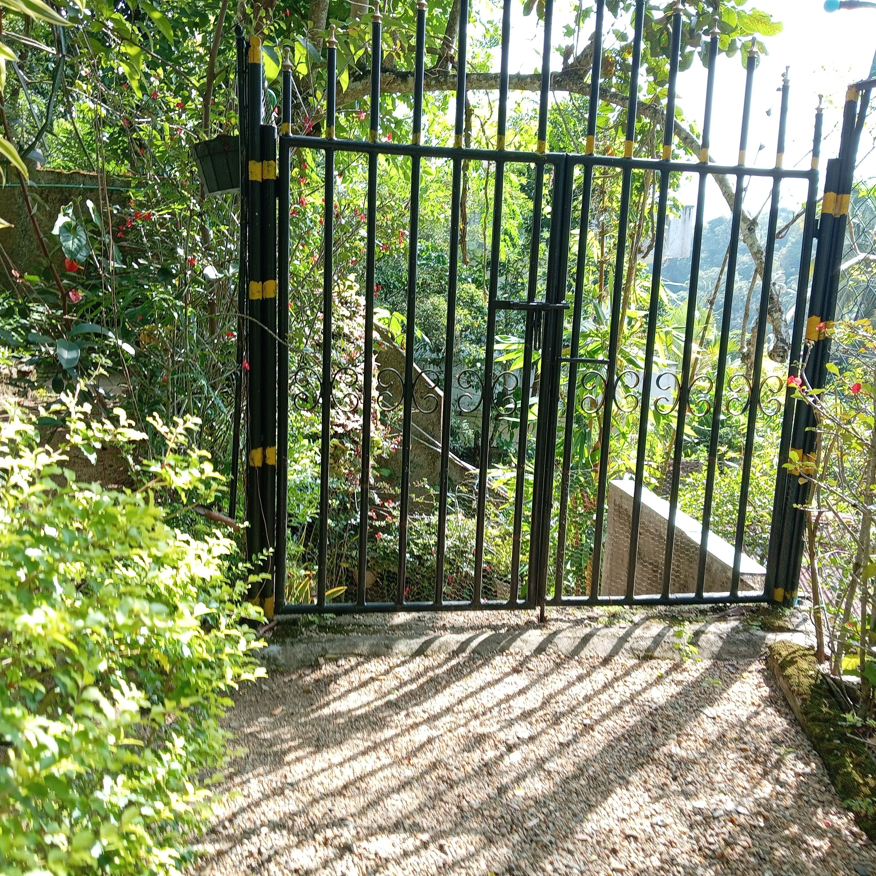 Une entrée fermée par un portail, avec un chemin de gravier qui traverse un feuillage dense.