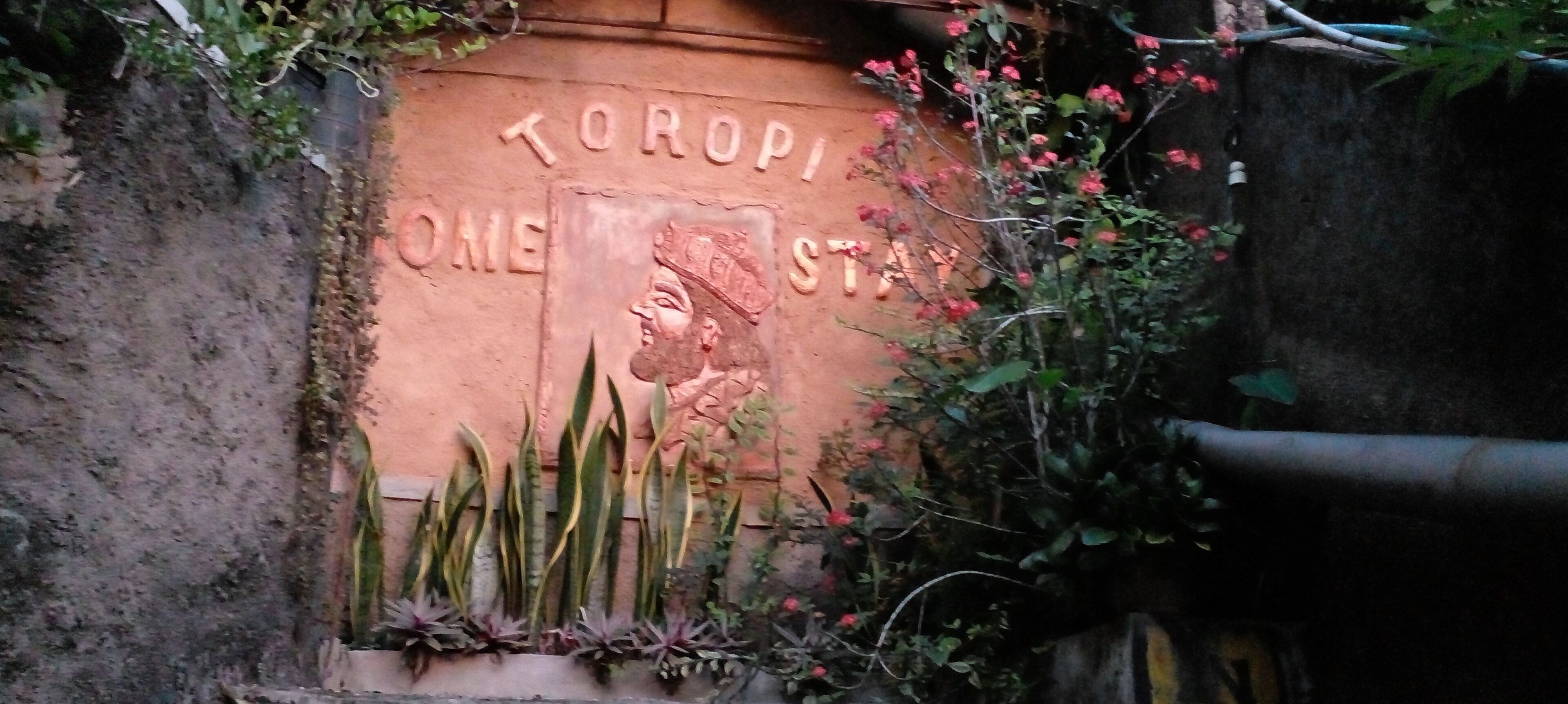 A stone wall with the inscription "TOROPI ONE STAY".