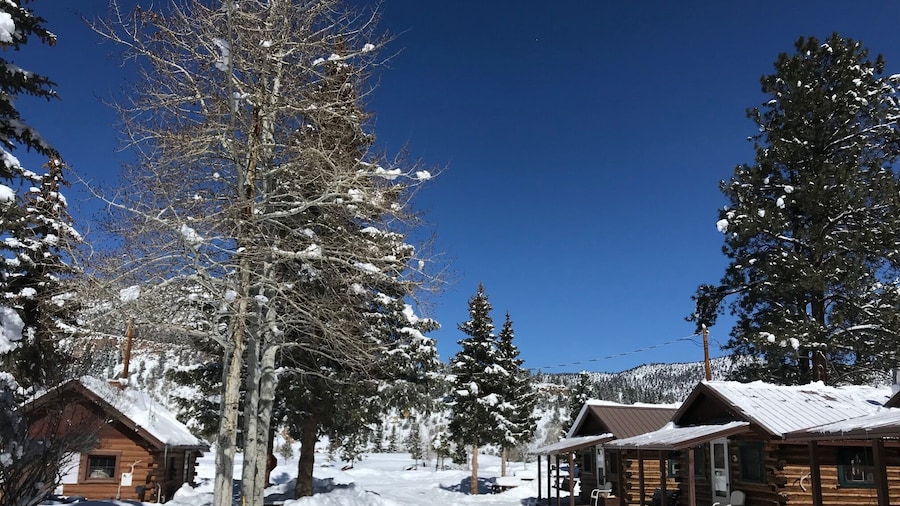 Grandview Cabins & RV Resort