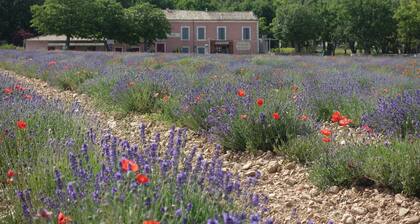 Chalet Calune - 2 bis 4 Personen