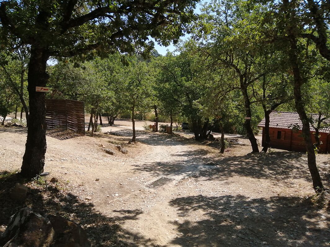 Un espace extérieur ombragé, agrémenté d’arbres, d’un sentier de terre et d’une structure en bois.
