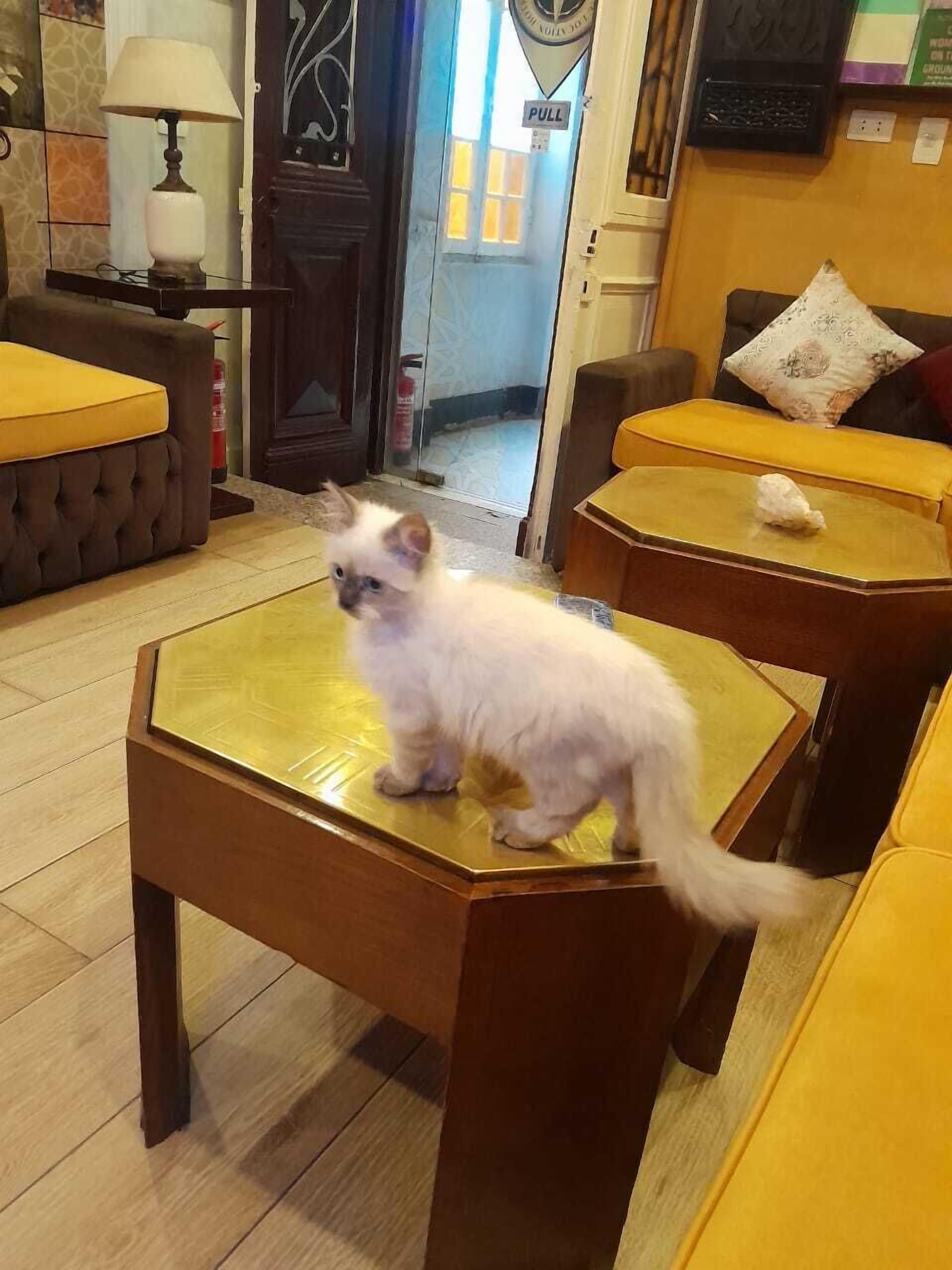 Foto - The location Hotel