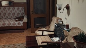 A living room with a sofa, a coffee table, a rug, a chair, a potted plant, and a door.