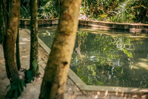 2 outdoor pools
