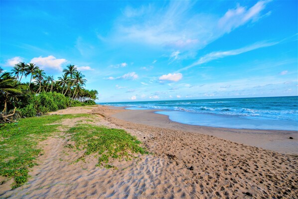 A beach with sand, palm trees, and the ocean. - Ardeen Villa (Kahandamodara)