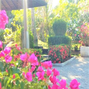 Facciata della struttura