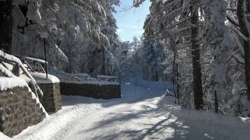 Deportes de invierno