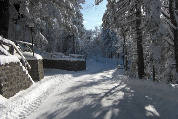 Sci e sport sulla neve
