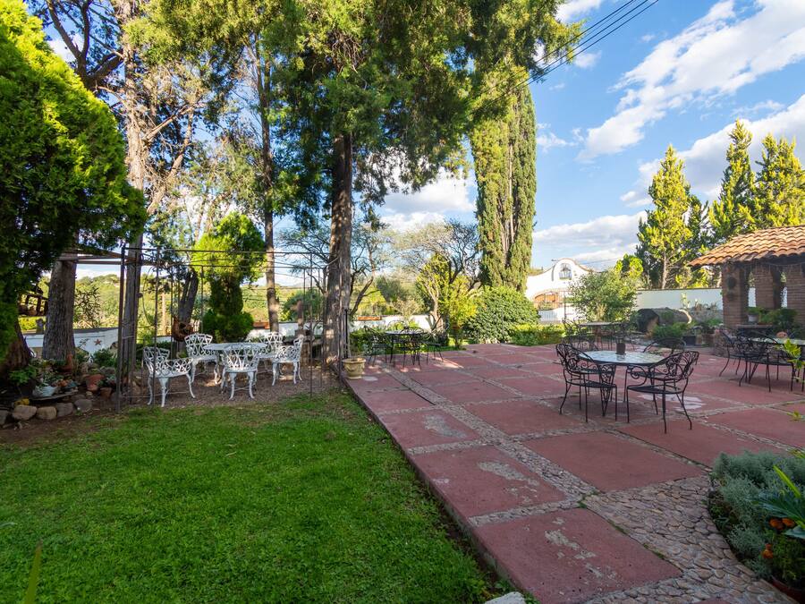 Un patio al aire libre con mesas y sillas, rodeado de follaje y árboles.
