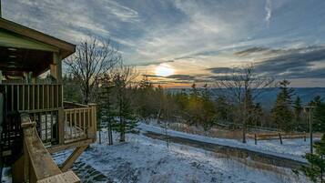 A wooden deck with a stone pathway leading to a cabin, surrounded by snow-covered ground and trees.