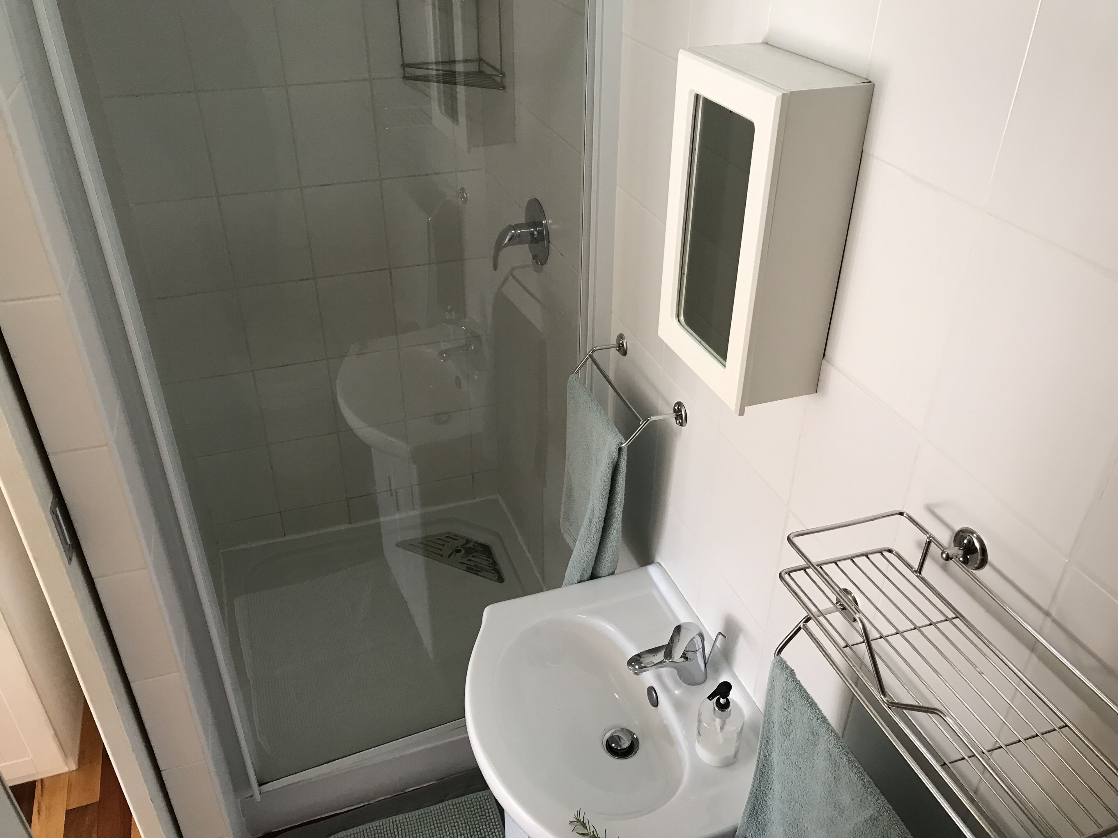 Un baño con cabina de ducha de vidrio, lavabo con dispensador de jabón y barra para toallas.