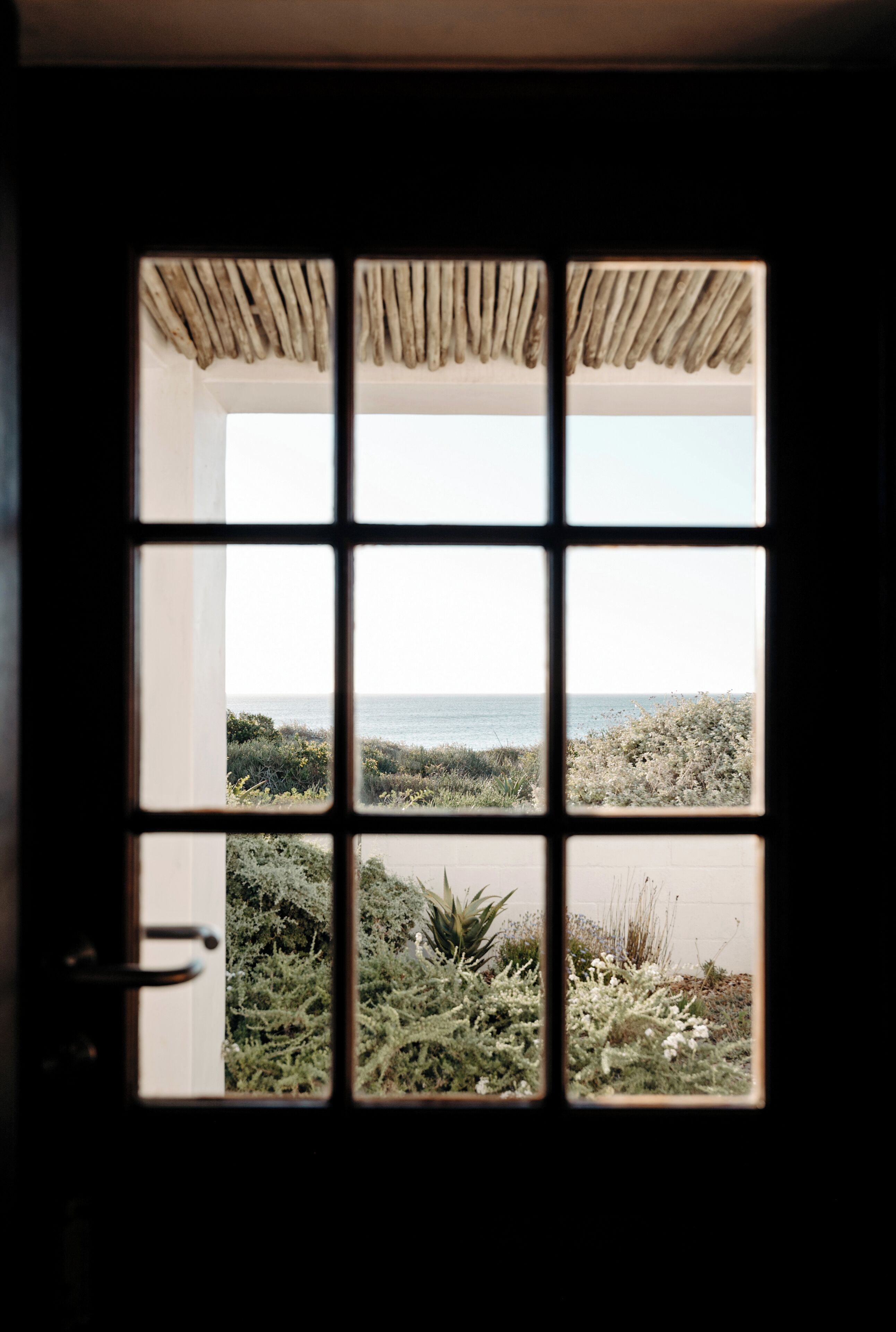 A window with a view of a coastal landscape, including vegetation and the sea.