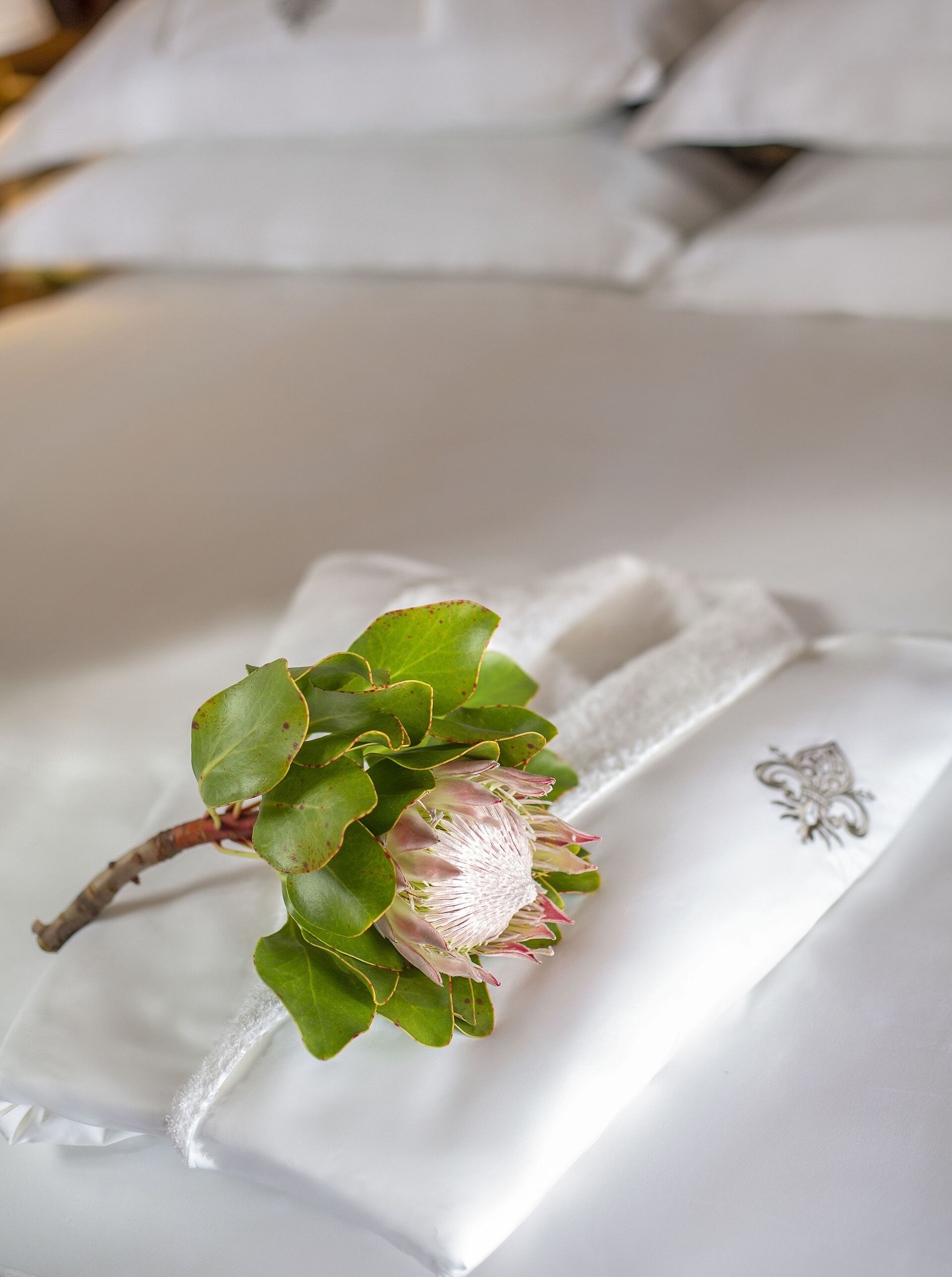 Photo - Zevenster Boutique Hotel by The Giglio