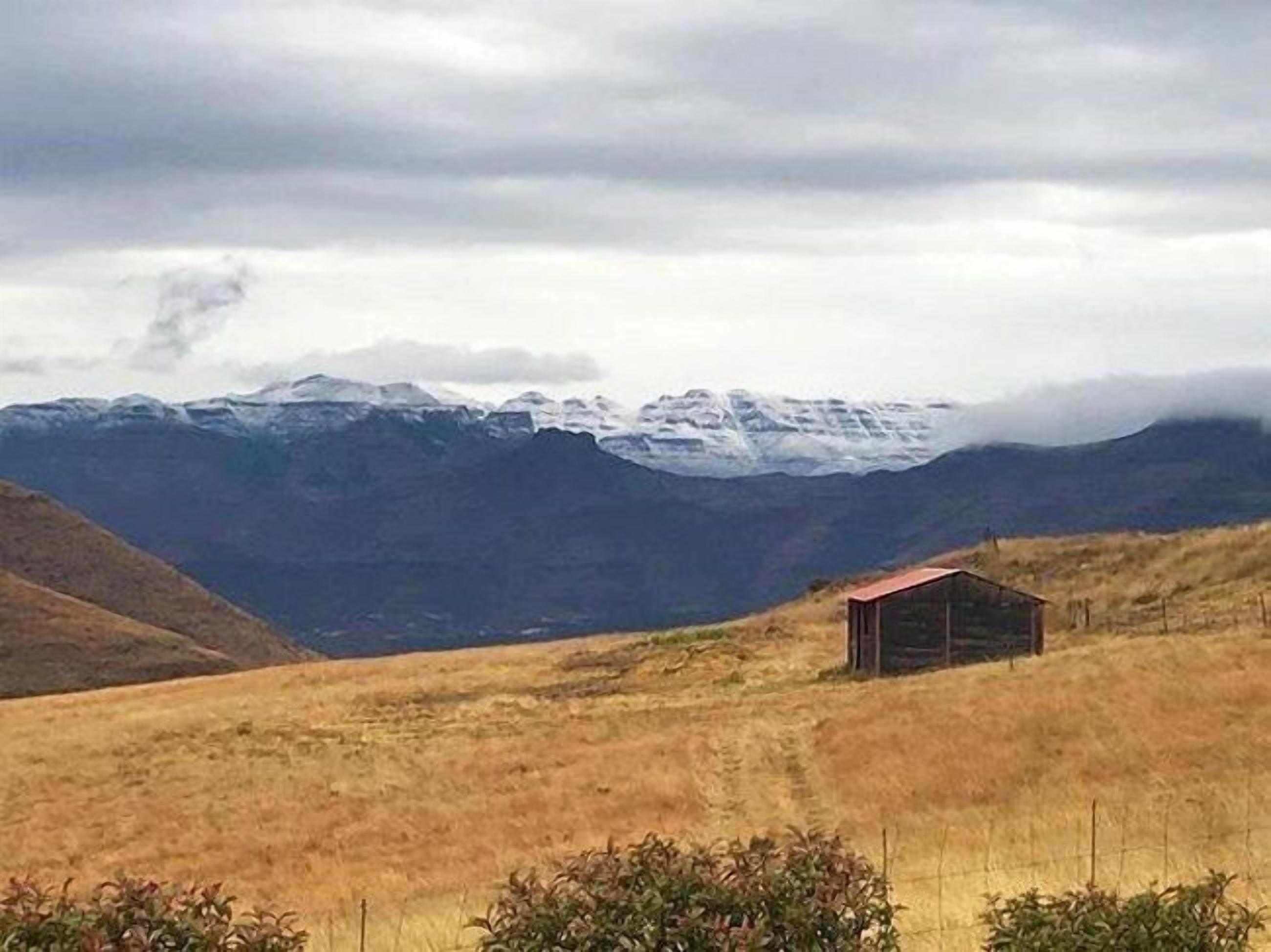 A small wooden cabin in a grassy field with a mountain range in the background.