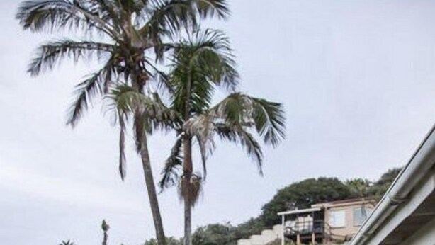 Exterior - Villa del Sol Margate (Margate)