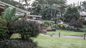 Exterior - Villa del Sol Margate (Margate)