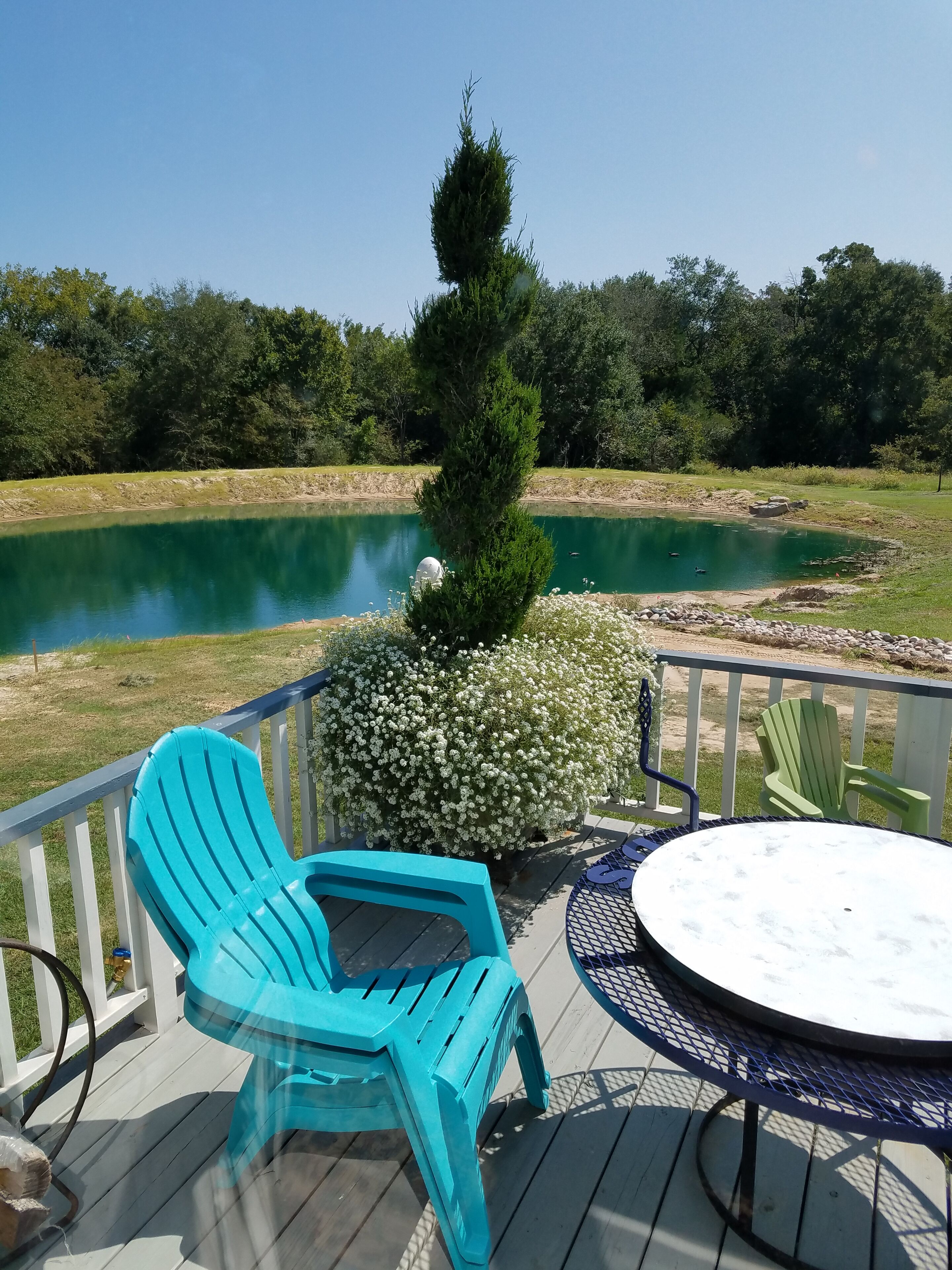 A deck with turquoise chairs and a round table, overlooking a pond with a small tree and bushes.
