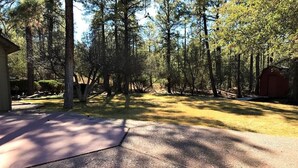 A paved driveway leading to a house surrounded by tall trees.