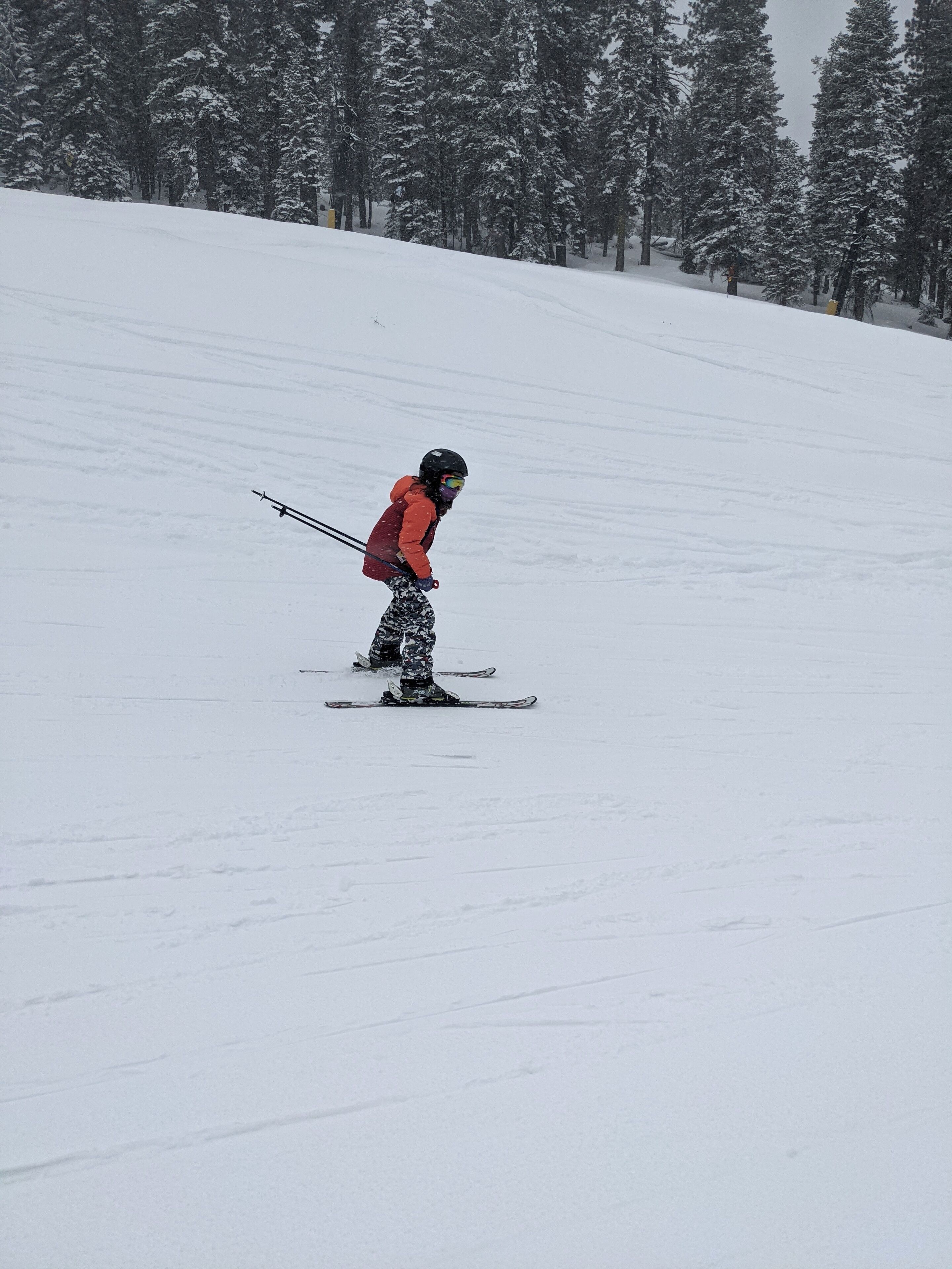 Snø- og skisport